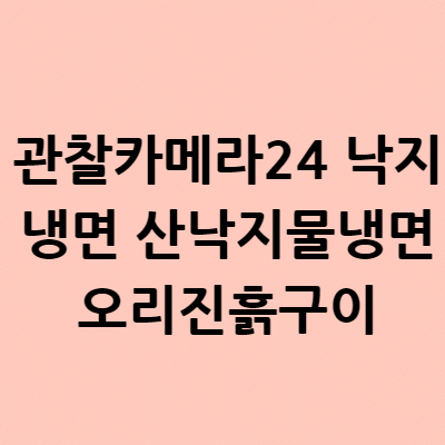  관찰카메라24 낙지냉면 산낙지물냉면 오리진흙구이 파는곳 식당 보양식의 끝판왕 199회 충주 위치 주소 어디?