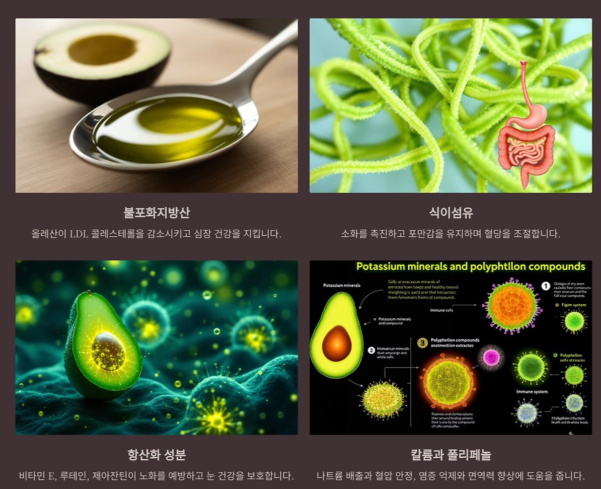 과카몰리가 건강에 좋은 이유