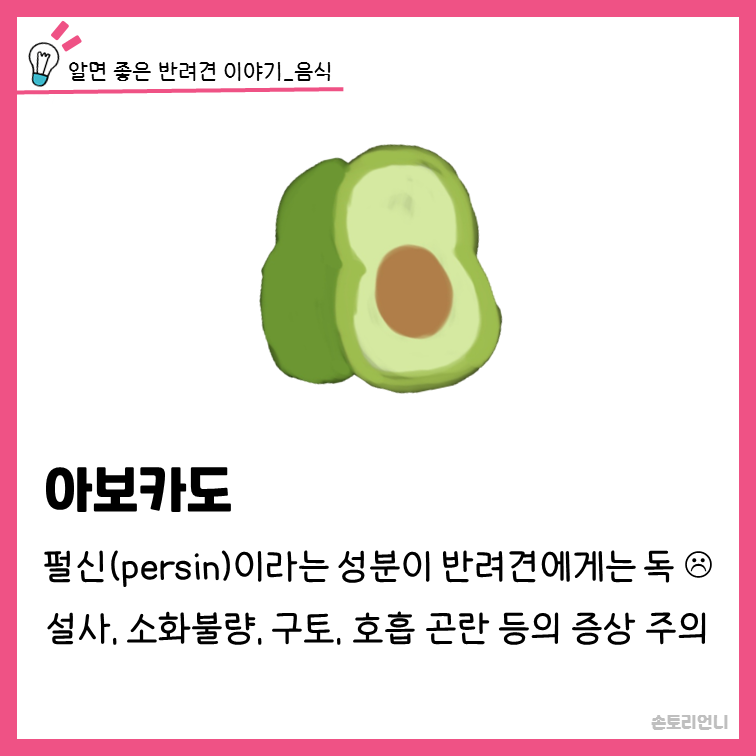 아보카도