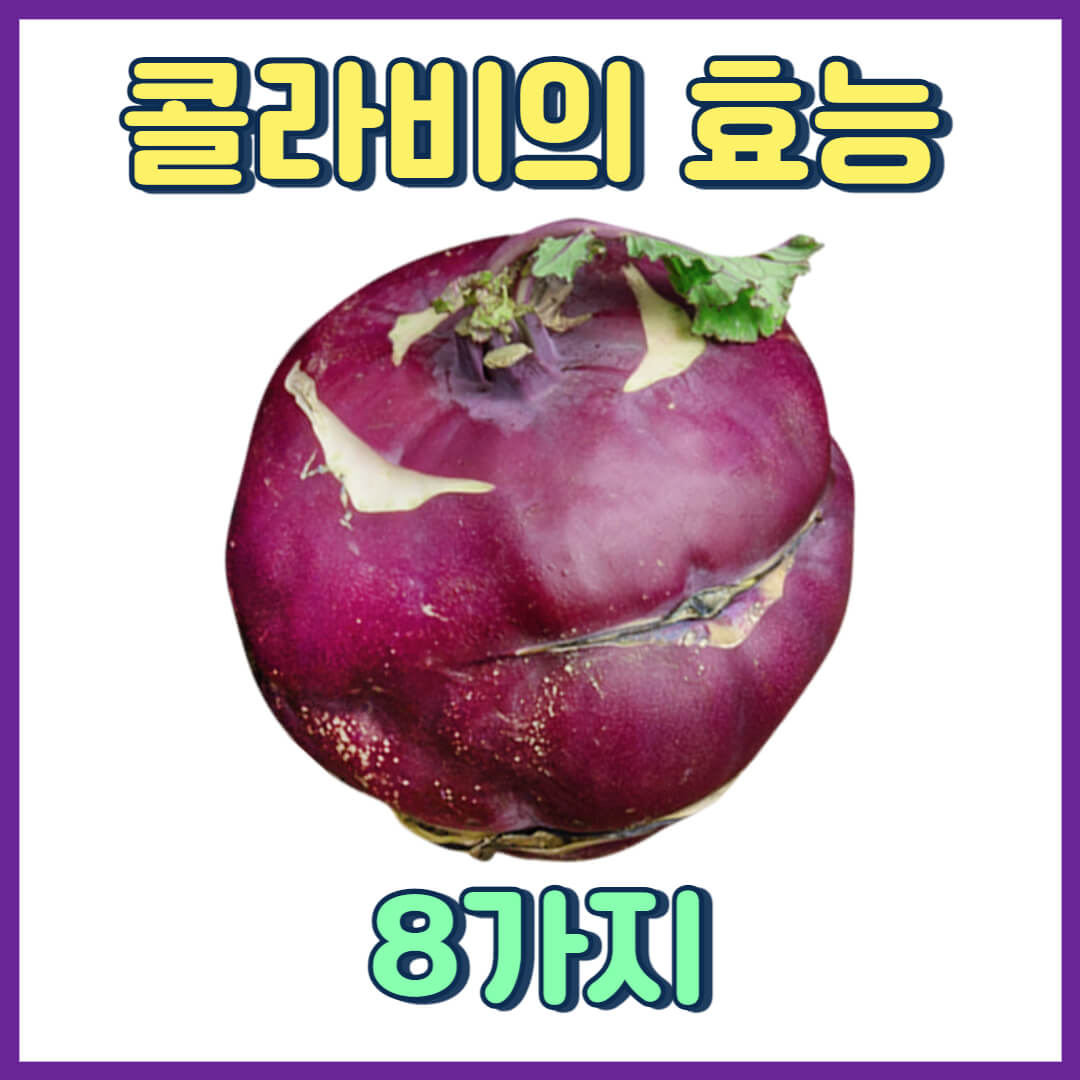  현대인의 웰빙푸드 콜라비의 효능 8가지