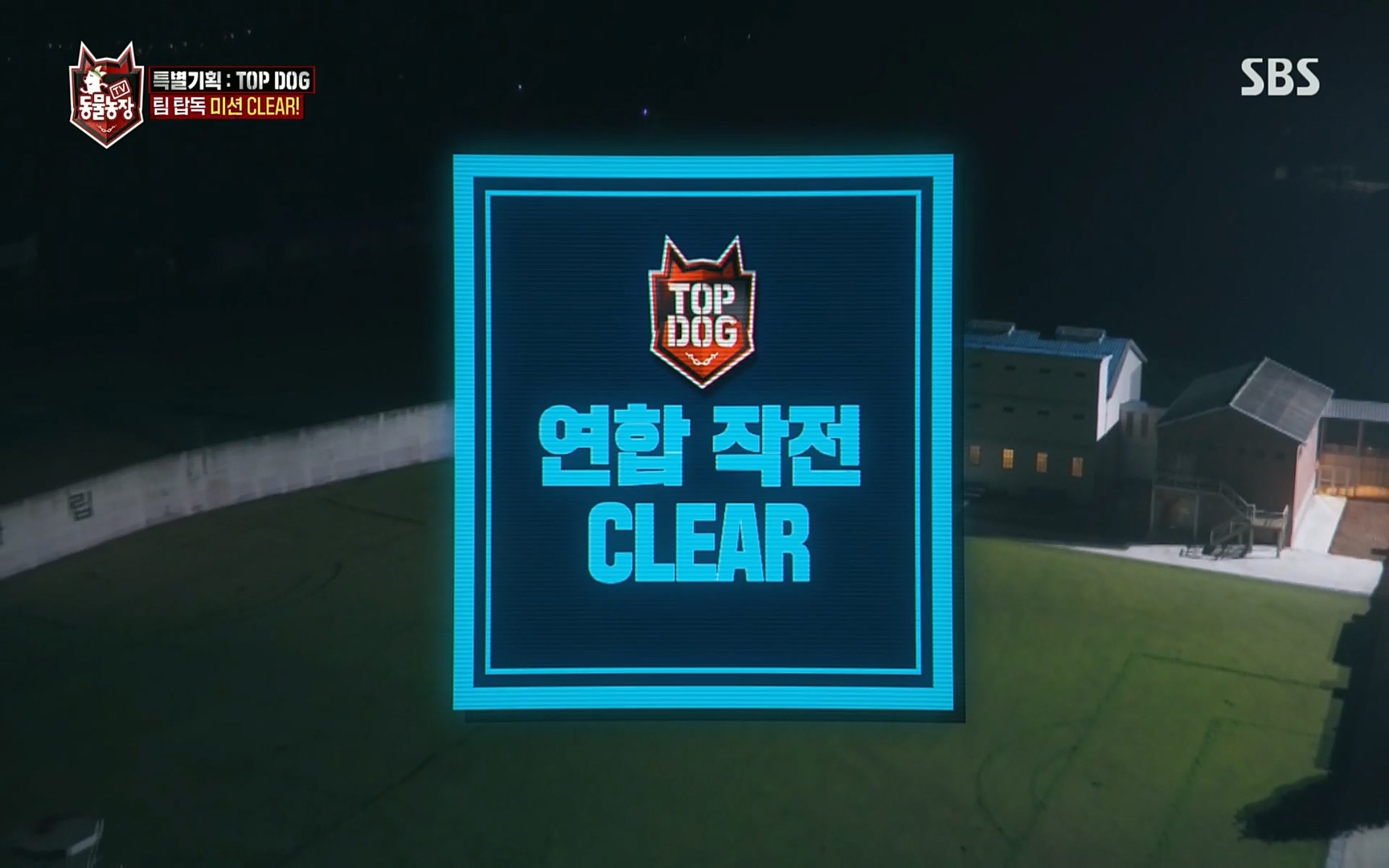 TV 동물농장.E1086.220911p.H264-F1RST.mp4_20220911_174917.393.jpg