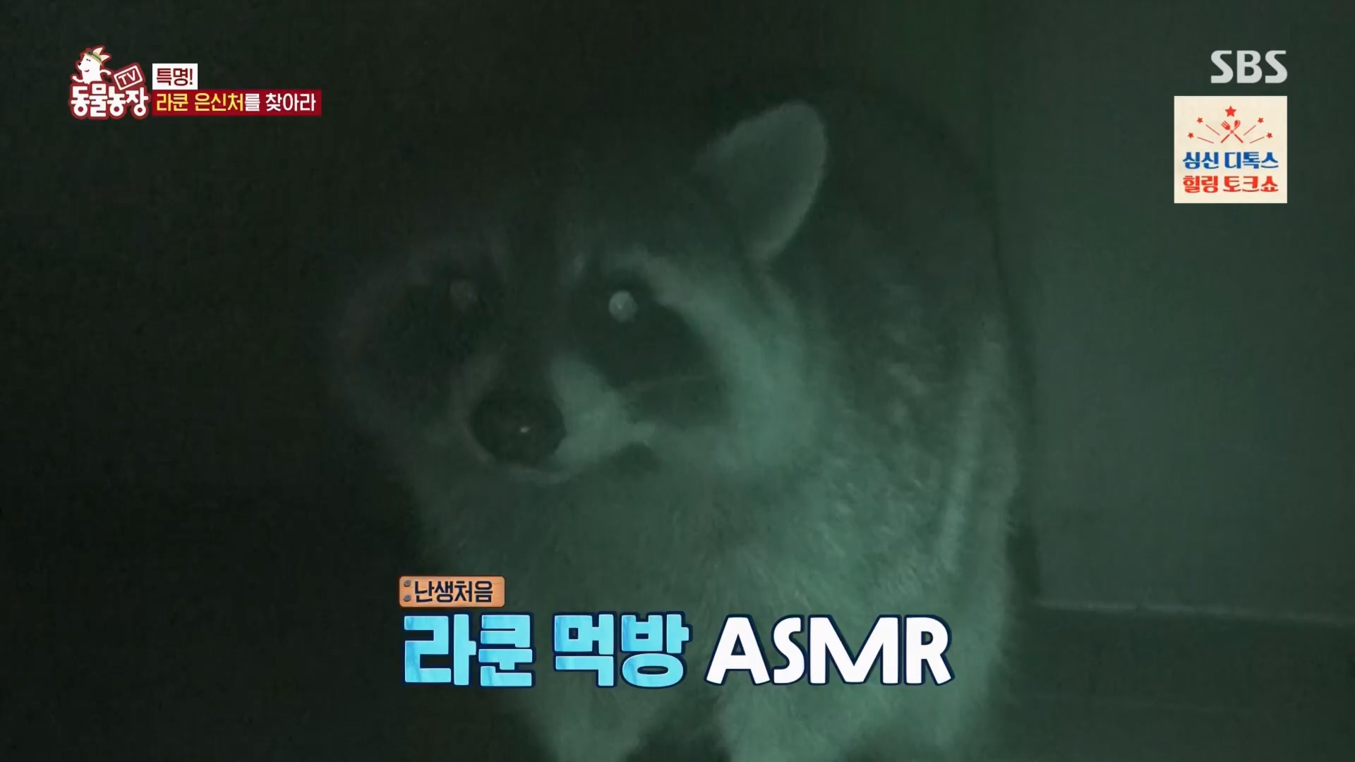 TV 동물농장.E1170.240505p.H264-F1RST.mp4_20240505_153801.049.jpg
