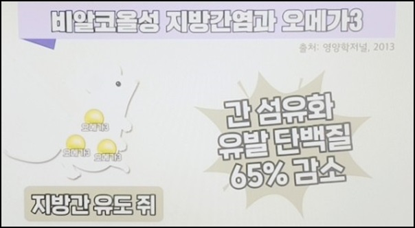 간에 대한 오메가3 효능입니다