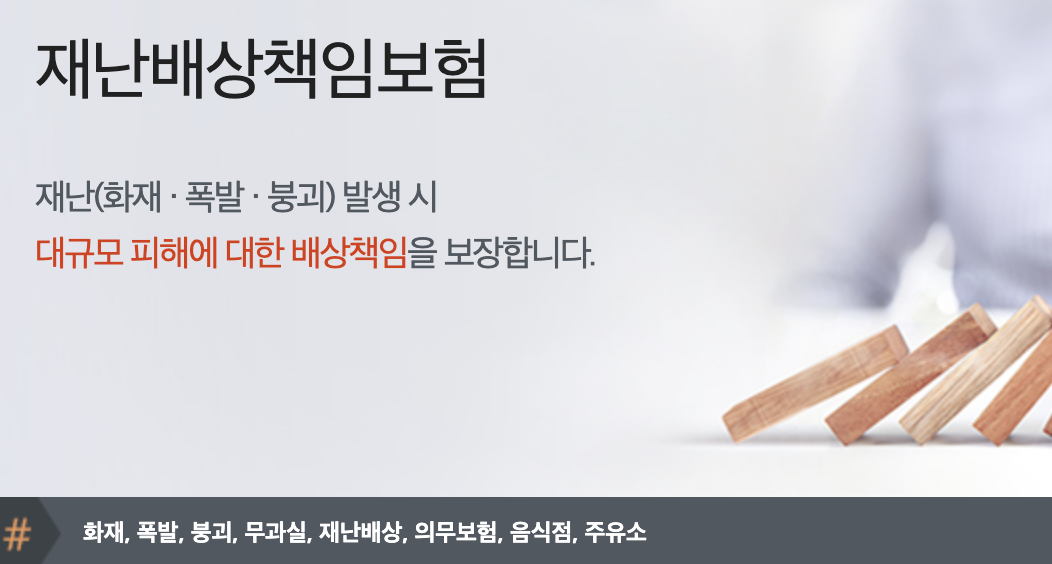 NH 재난배상책임보험