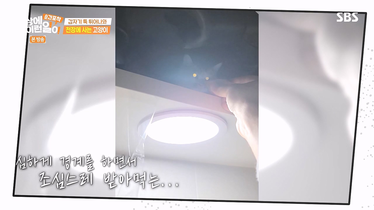 순간포착 세상에 이런일이.E1259.240107p-NEXT.mp4_20240107_163618.235.jpg