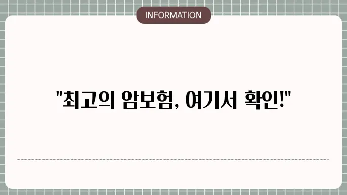 암보험 비교사이트 인기 상품 한눈에 비교