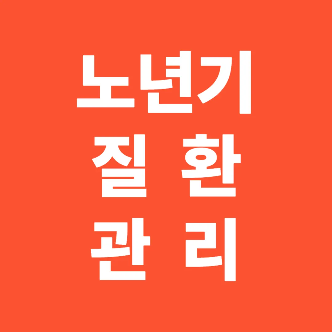 노년기 질환 관리