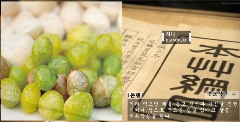 은행 열매 효능 9가지와 부작용 섭취법 총정리...음식건강이야기 열네번째
