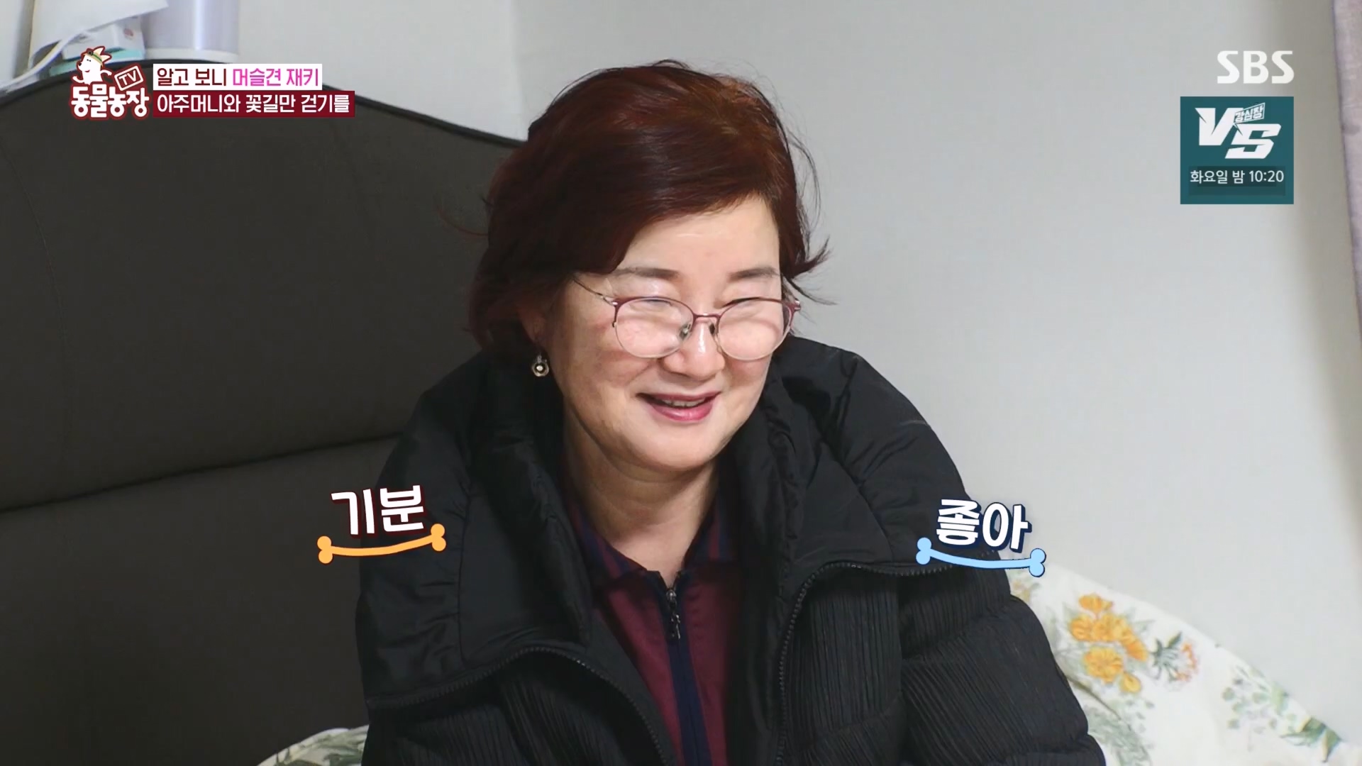 TV 동물농장.E1149.231210p.H264-F1RST.mp4_20231210_171119.055.jpg