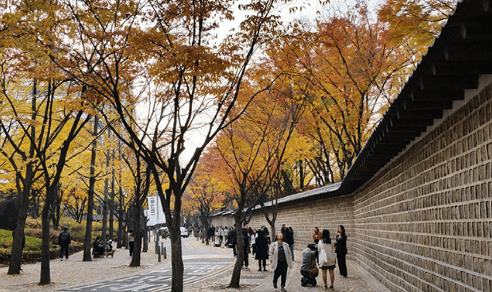 덕수궁 가을