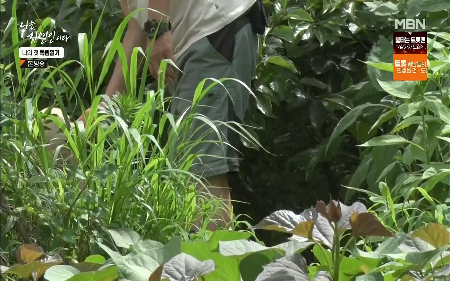 나는 자연인이다.E511.220720p.H264-F1RST.mp4_20220721_201105.927.jpg