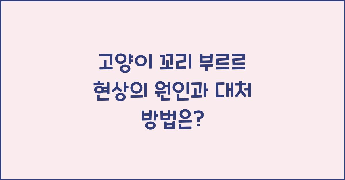 고양이 꼬리 부르르 현상의 원인과 대처 방법
