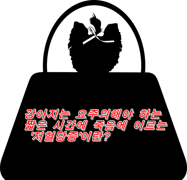  강아지는 요주의해야 하는 짧은 시간에 죽음에 이르는 '저혈당증'이란?