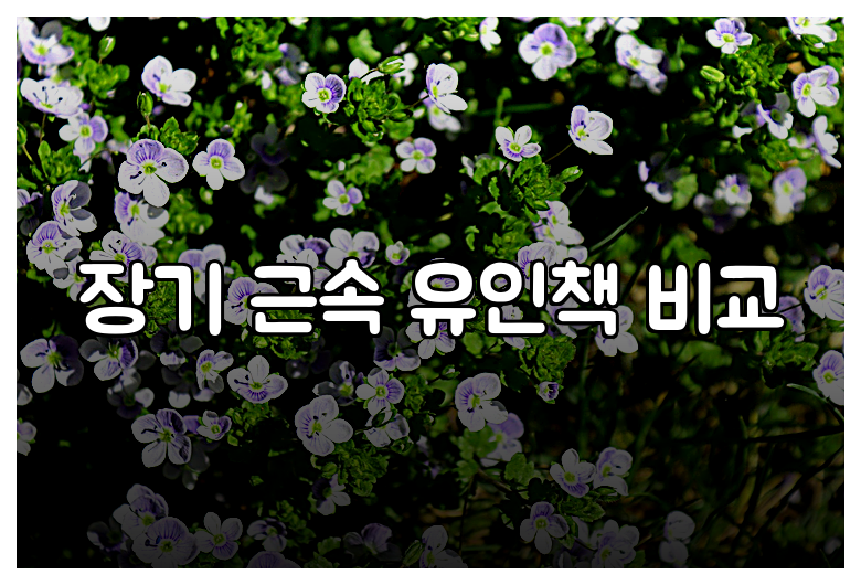 장기 근속 유인책 비교