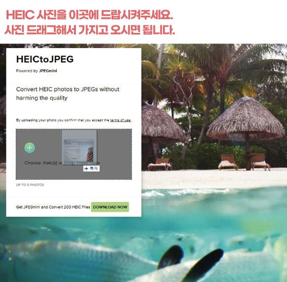 HEIC 파일 JPG 파일 변환 사이트