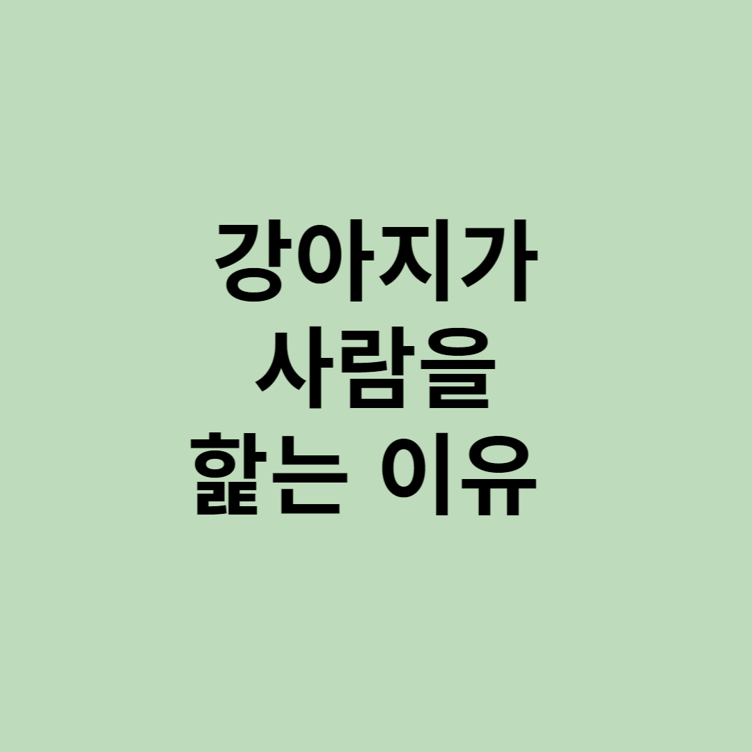  강아지가 사람을 핥는 이유