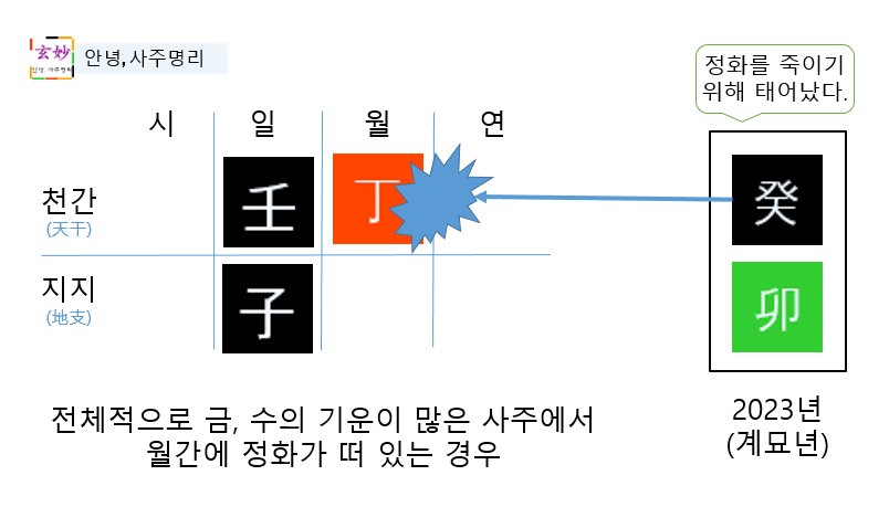 2023년 계묘년 운세(임자일주)