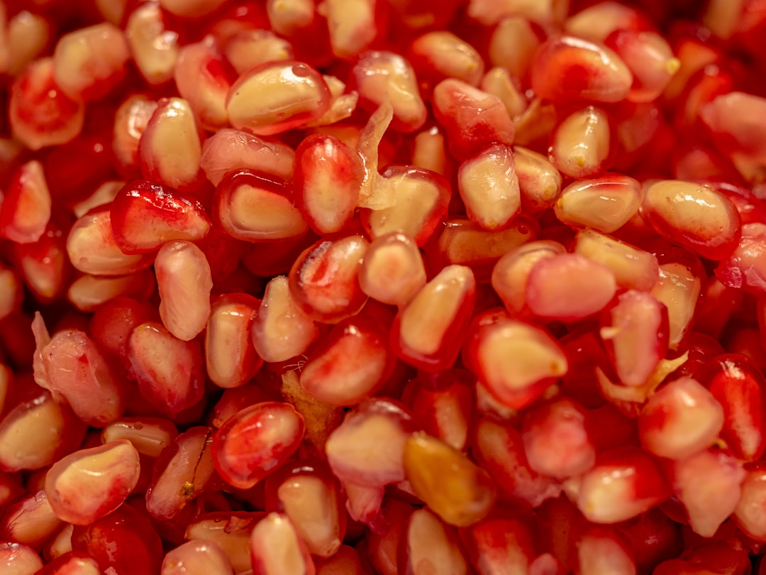 BeanSprouts