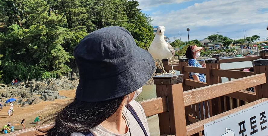 궁평리해수욕장(궁평항) 차박 답사하러 카크닉 했어요~ 궁평리해수욕장(궁평항) 차박 답사하러 카크닉 했어요~