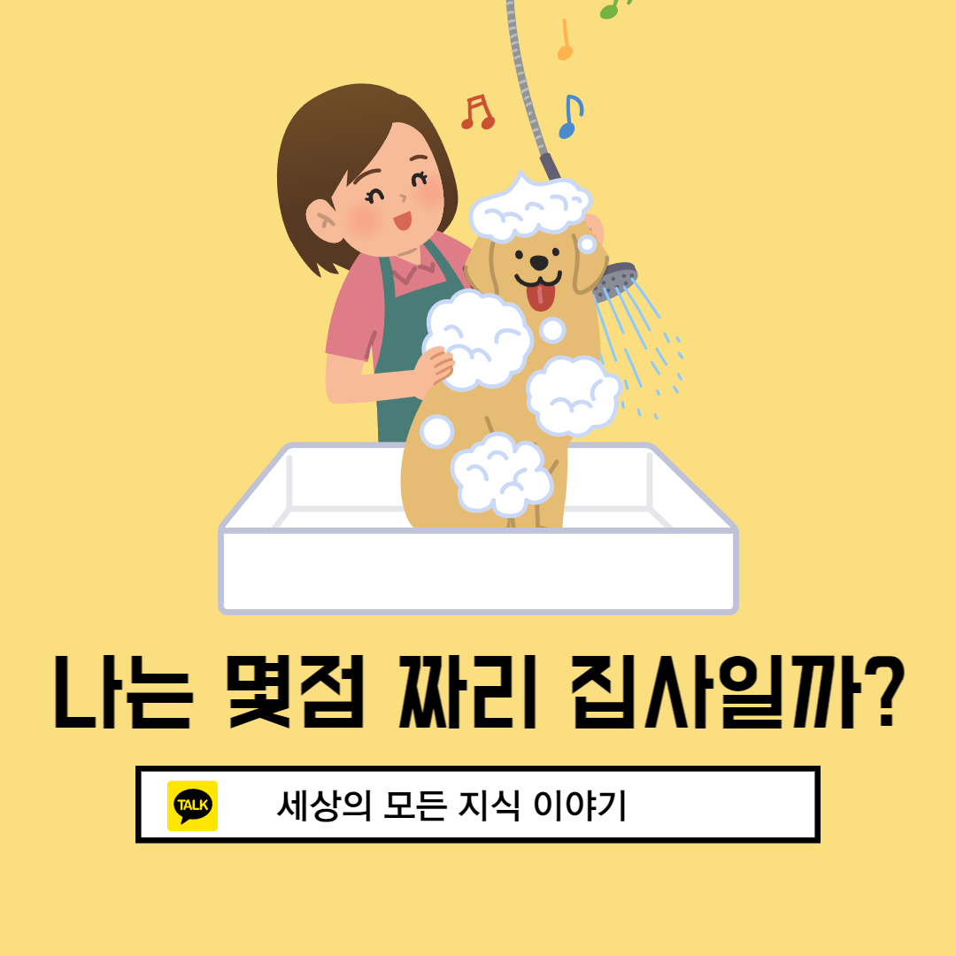  나의 집사 능력은 몇 점일까?(feat. 반려인 능력시험)