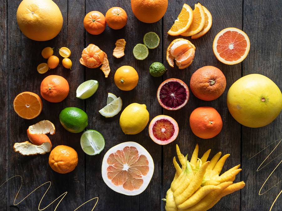 당뇨에 좋은 음식 : 감귤류
Citrus fruits