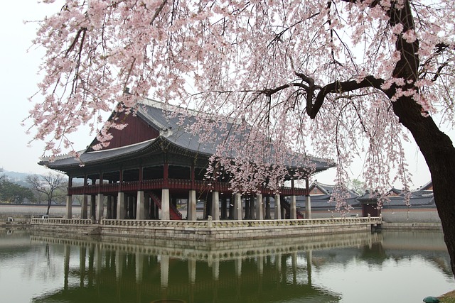백제의 수군과 해상 전투 알아보기
