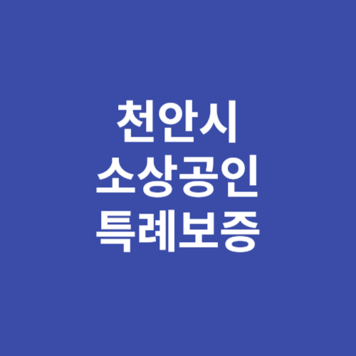 천안시 철도 정기승차권 교통비