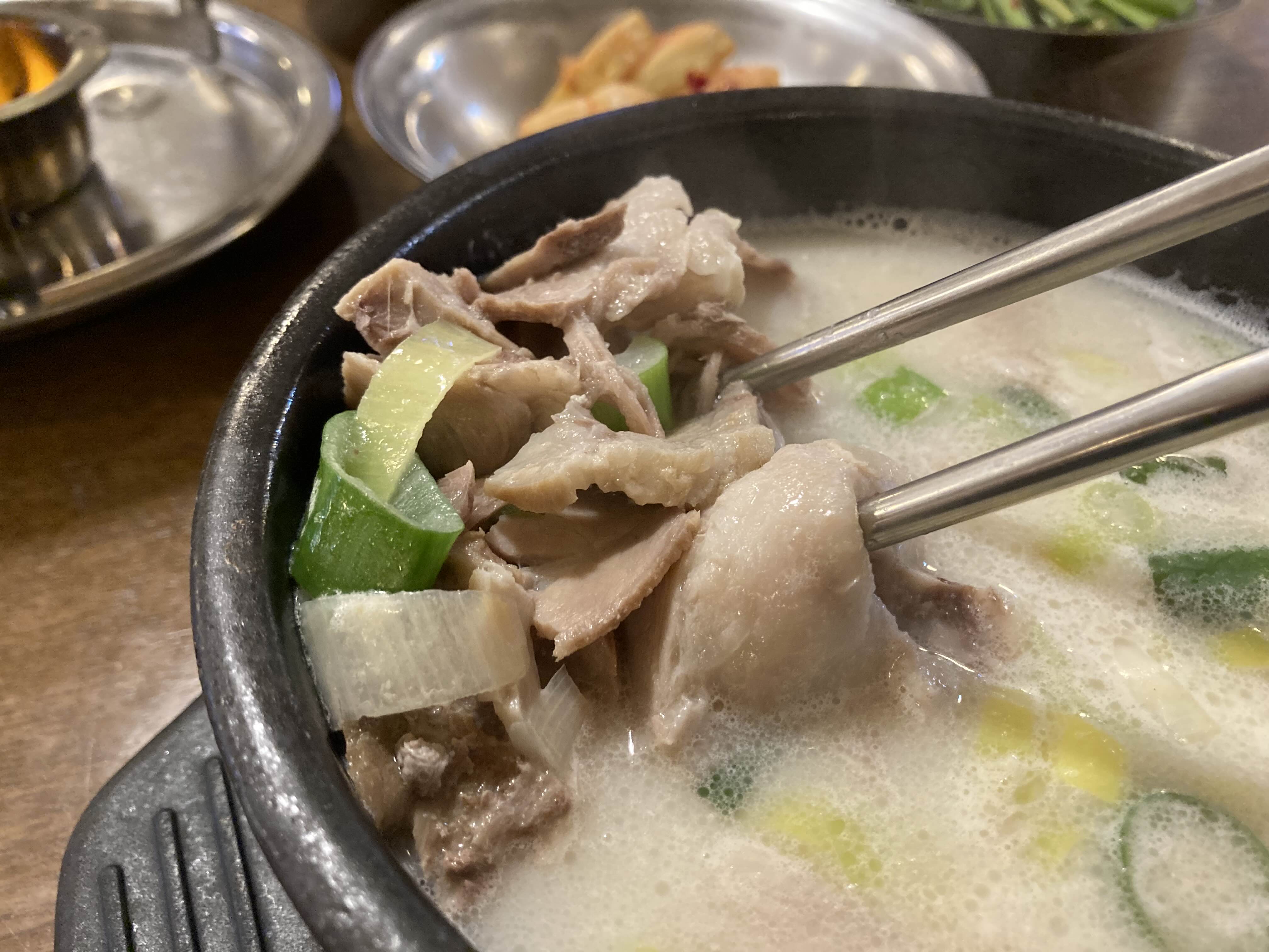 강남구청역 점심 맛집 돈수백 돼지국밥