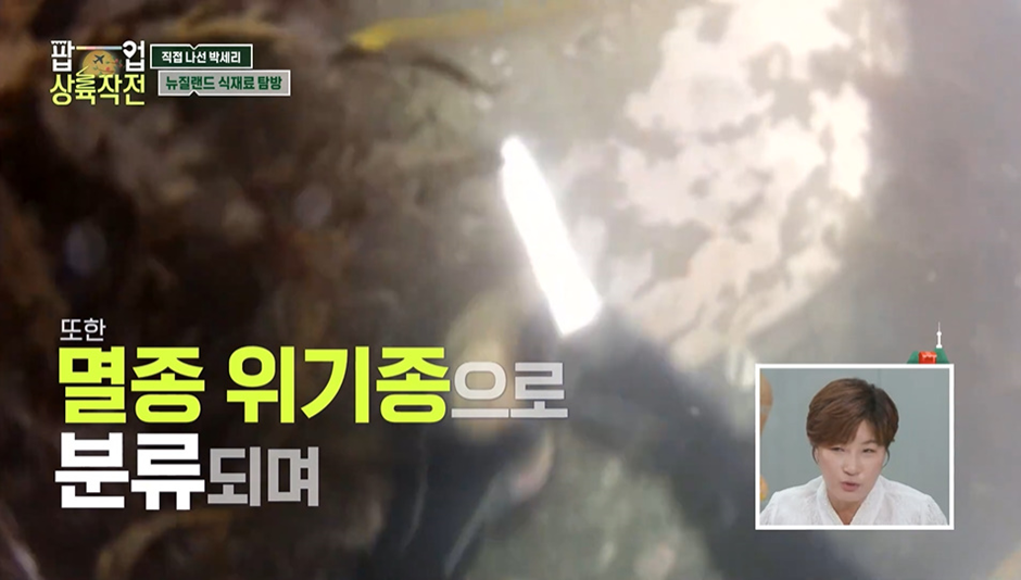 박세리가 너무 사고 싶어했는데 가격 듣고 포기한 음식 재료 가격…jpg | 인스티즈