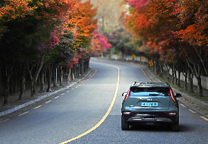 기아(주)회사 개요&#44; 마케팅 및 브랜딩&#44; 미래전망 및 혁신