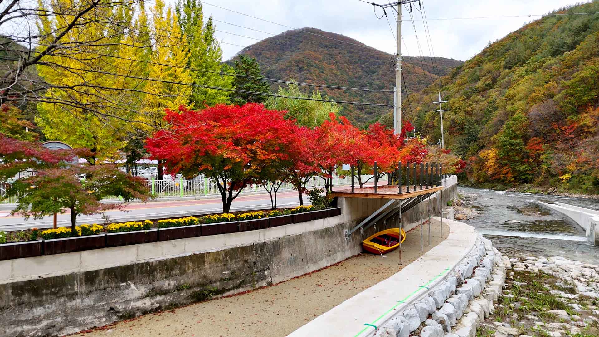 철암단풍군락지