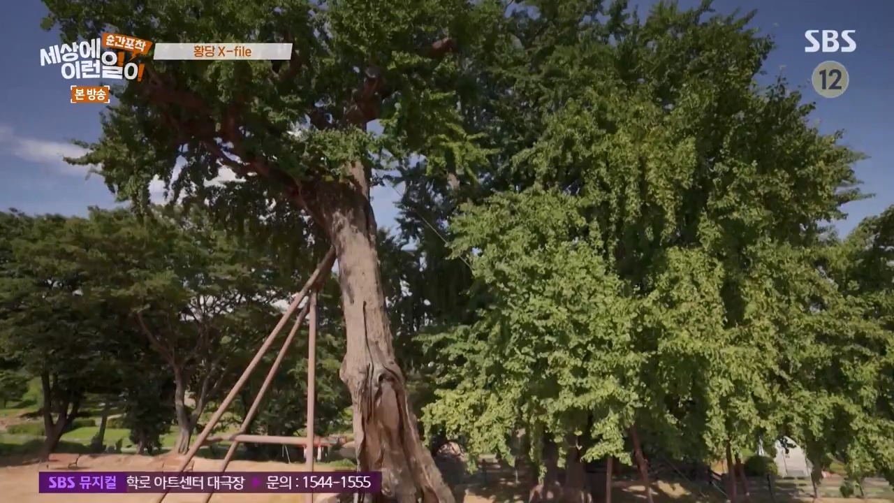 순간포착 세상에 이런일이.E1240.230806p-NEXT.mp4_20230806_161408.391.jpg