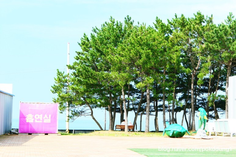 코리아플라워 이미지