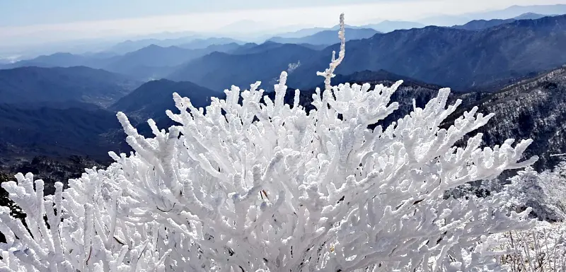 지리산 설경 상고대