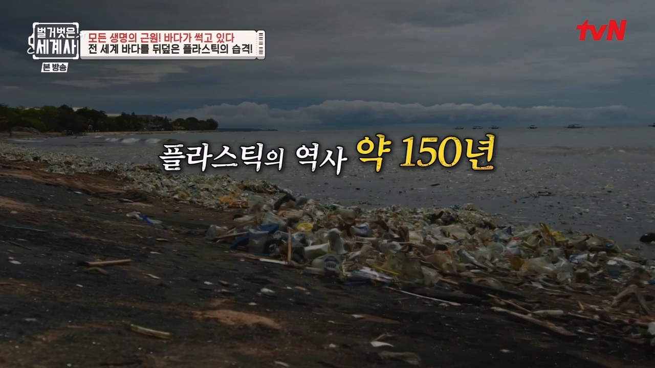 벌거벗은 세계사.E90.230315p-NEXT.mp4_20230419_212541.209.jpg