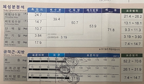 2022년 2월 17일 인바디 검사 결과