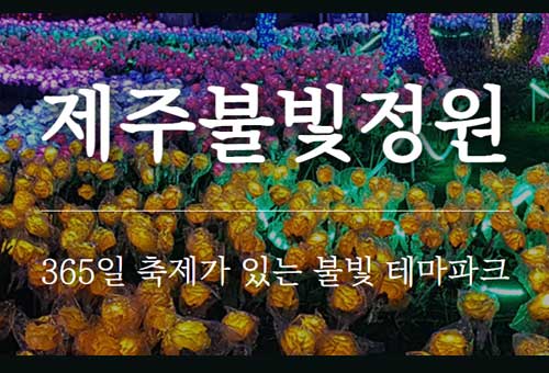 제주 불빛정원 애월 이미지