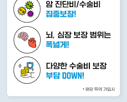 수술비 보장