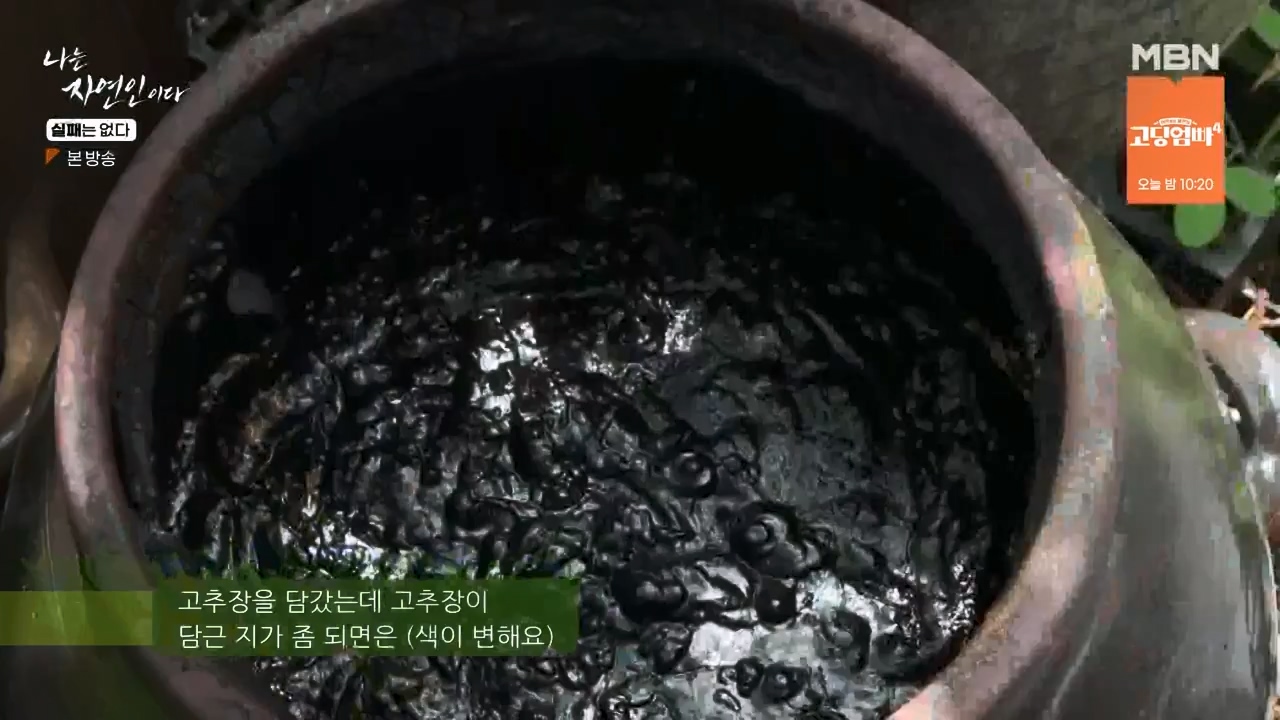 나는 자연인이다.E567.230817p-NEXT.mp4_20230817_202912.577.jpg