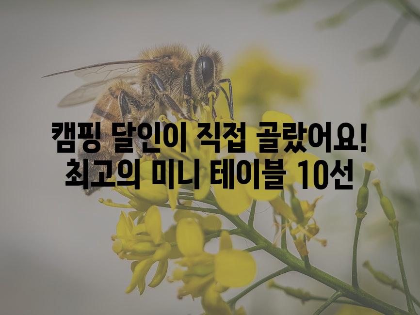 API 할당량 초과 오류 6