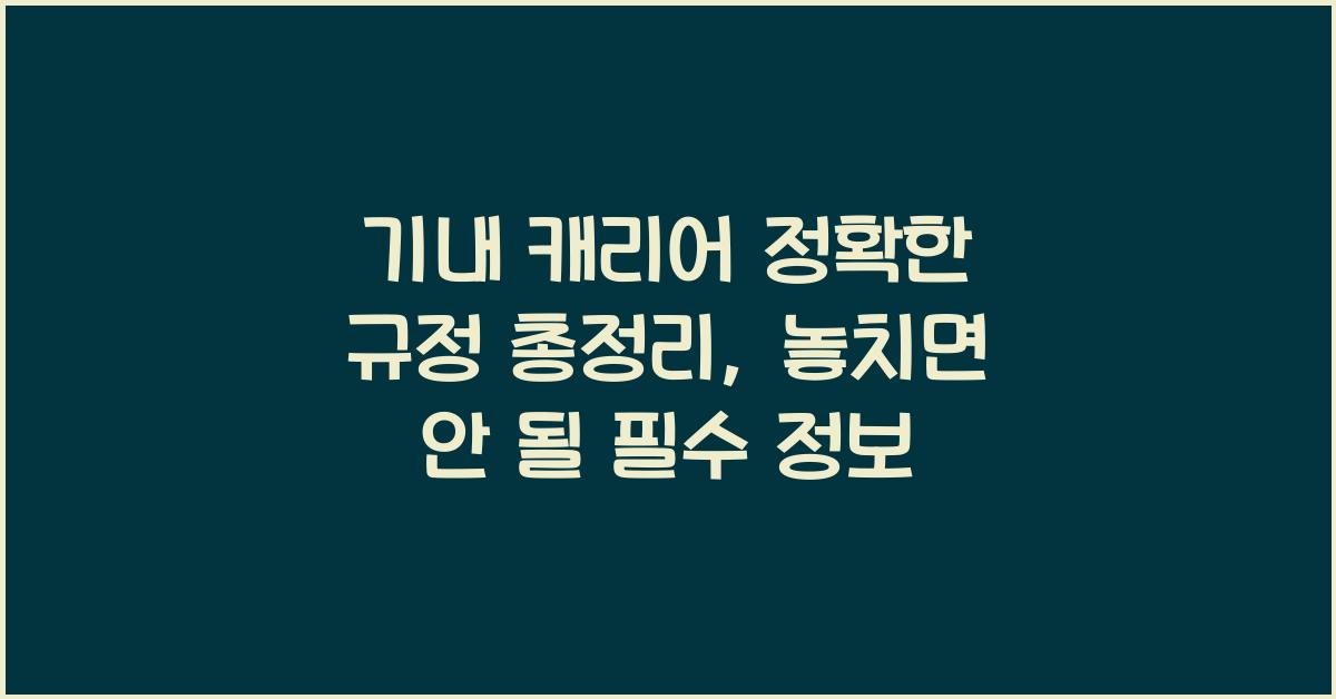 기내 캐리어 정확한 규정 총정리