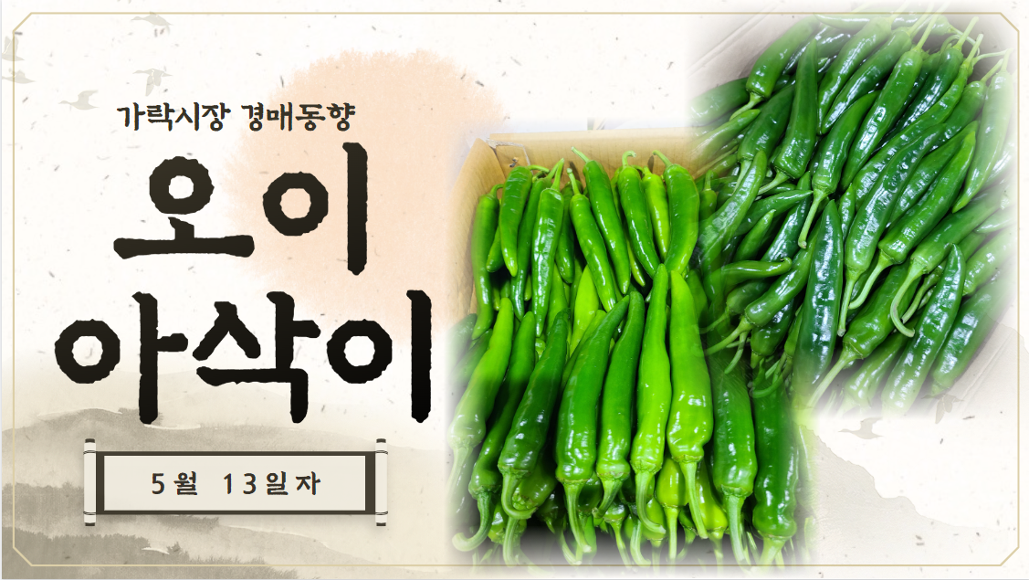  [경매사 일일보고] 2024년 5월 13일자 가락시장 오이아삭이 경매동향을 살펴보겠습니다!