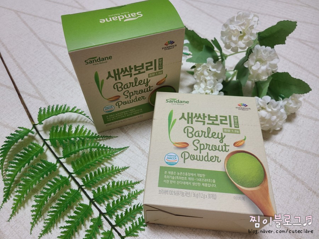 남편하고 같이 먹어요! 사다 4분말스틱 새싹보리 분말 국내산 유기농 찾아서 9