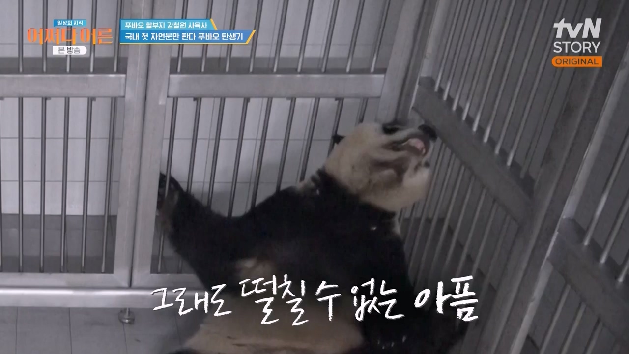 어쩌다 어른.E41.240131p-NEXT.mp4_20240201_203139.771.jpg