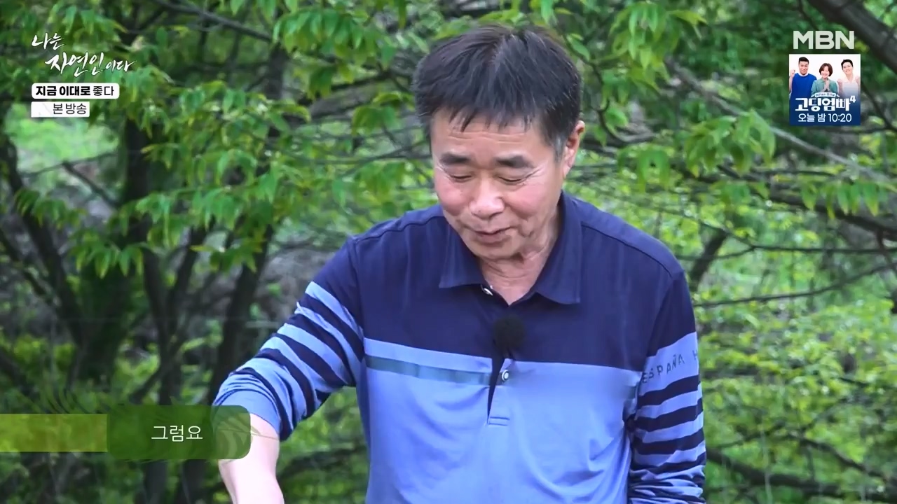 나는 자연인이다.E605.240516p-NEXT.mp4_20240516_194932.702.jpg
