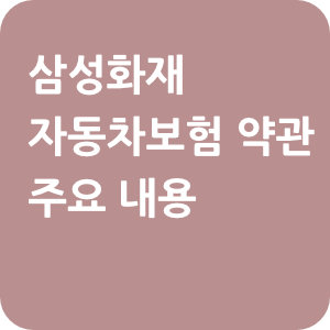 삼성화재-자동차보험-약관-주요내용