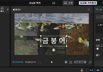자막 배치 방법