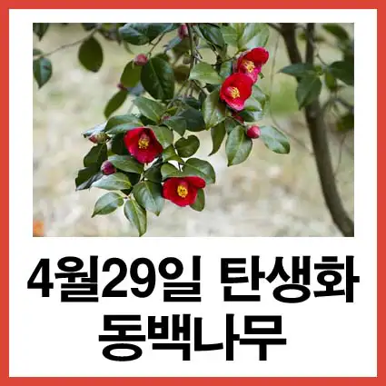 4월-29일-탄생화-동백나무-꽃말