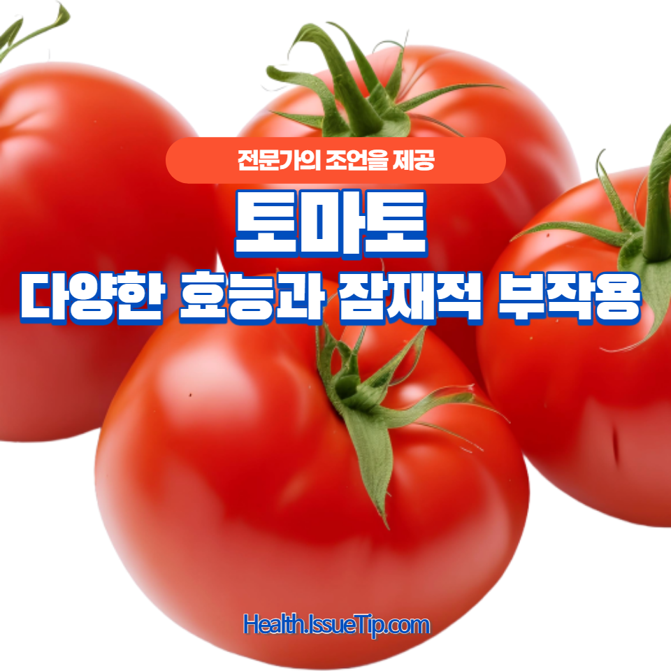 토마토의 다양한 효능과 잠재적 부작용