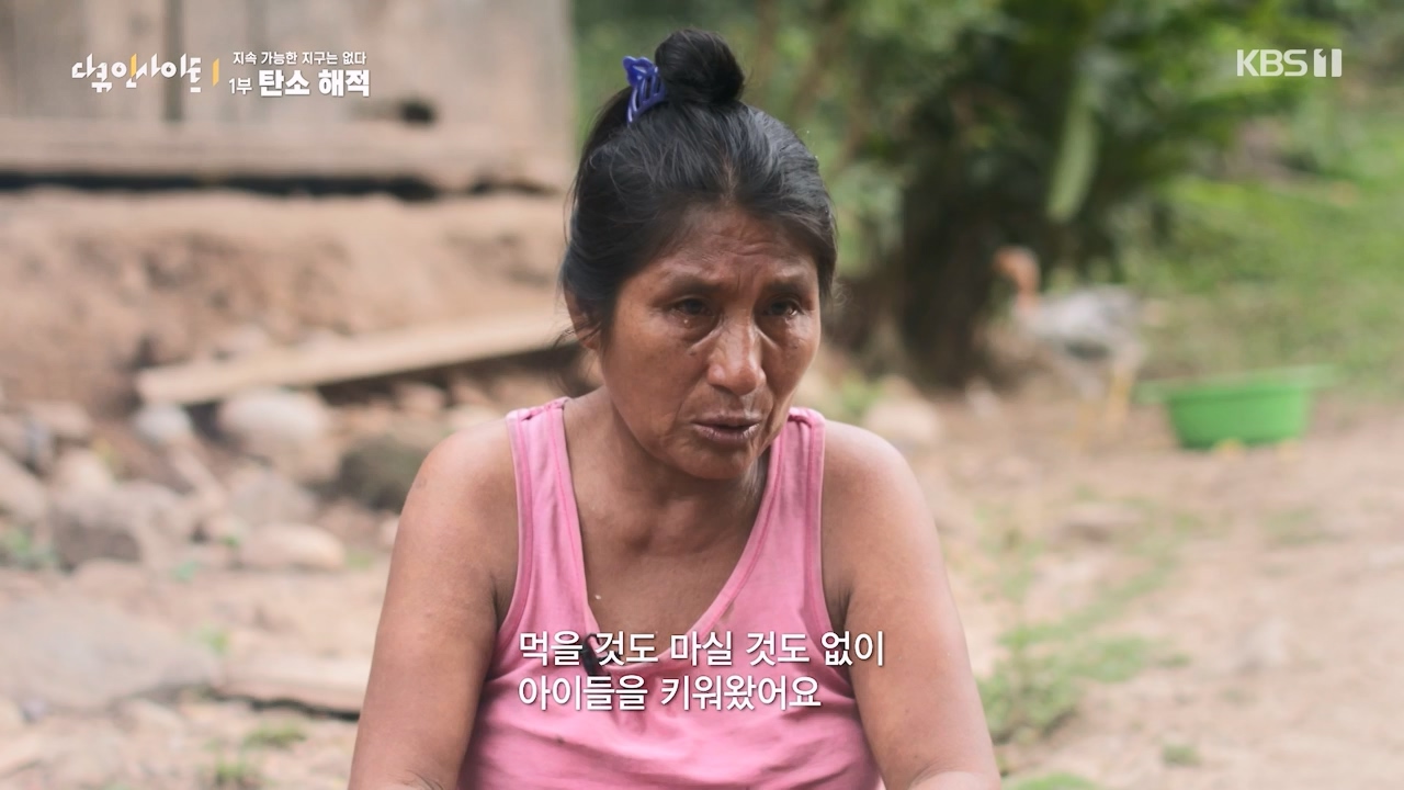 다큐 인사이트.E177.240112p-NEXT.mp4_20240113_155846.537.jpg